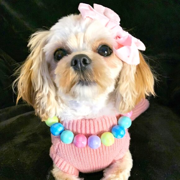 Easter Basket (14") - Pet Necklace - Pet Accessories - Picture 1 of 3